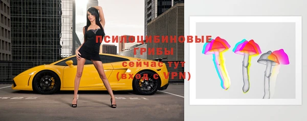 дживик Алексеевка