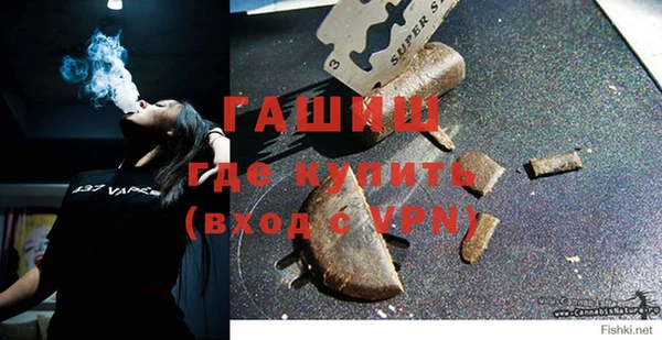 сатива Алзамай