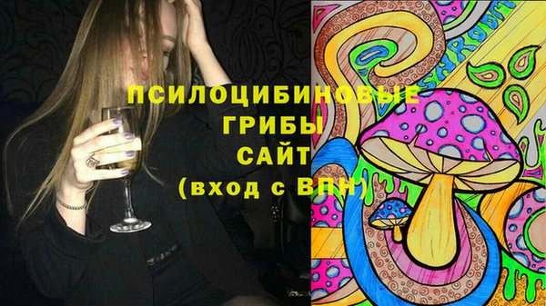 дживик Алексеевка